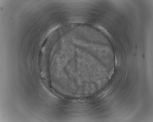 X0000067910627200605111943