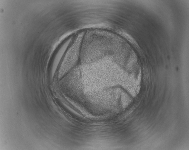 X0000067910628200605111943