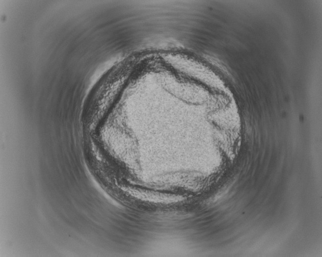 X0000067910630200605111943