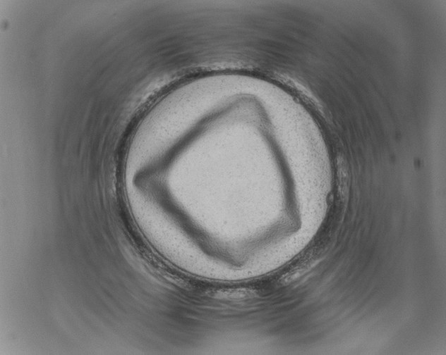 X0000067910631200605111943