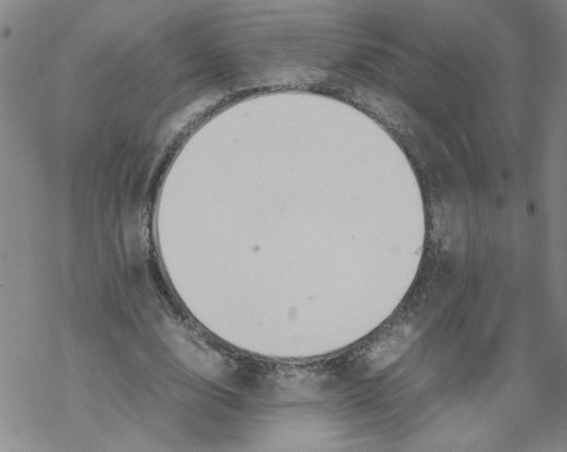 X0000067910632200605111943