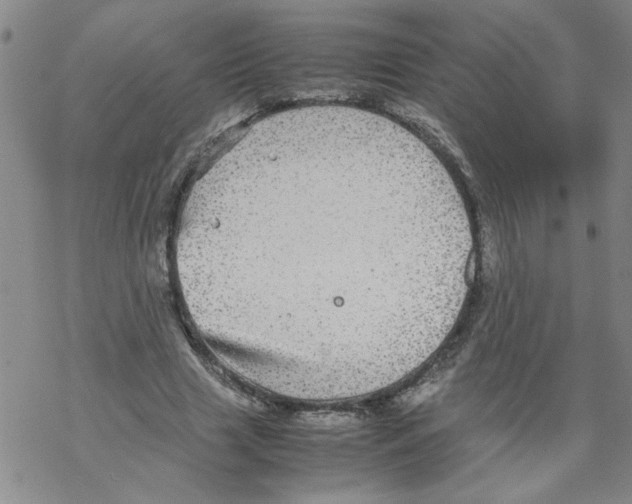 X0000067910633200605111943