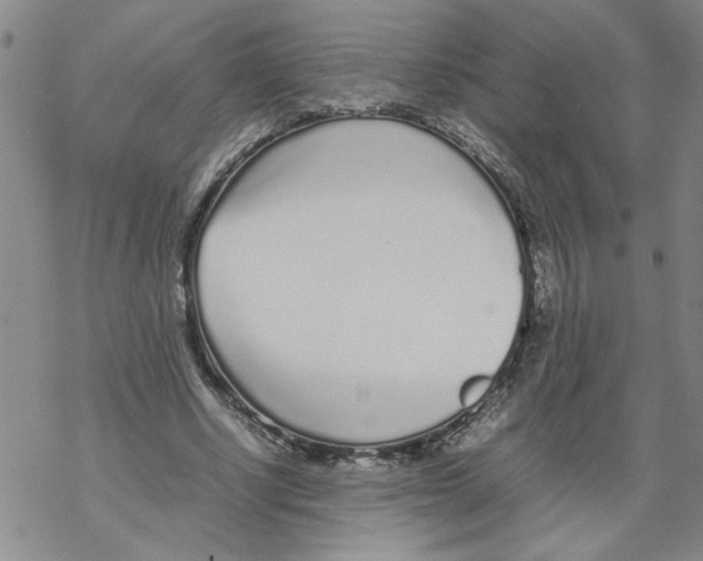 X0000067910634200605111943