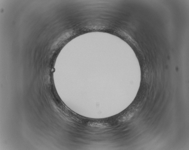 X0000067910635200605111943