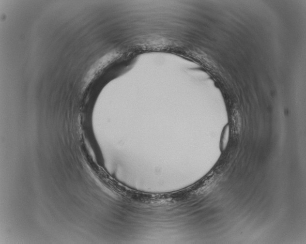 X0000067910638200605111944