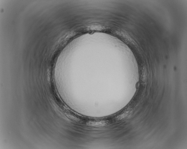 X0000067910639200605111944