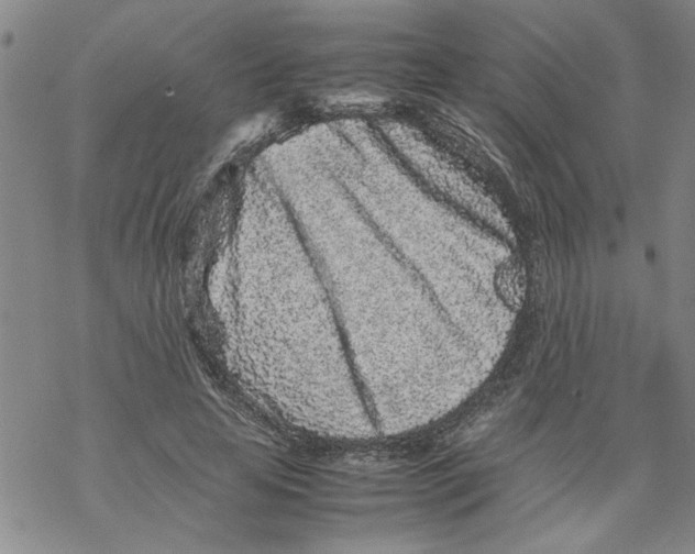 X0000067910641200605111944