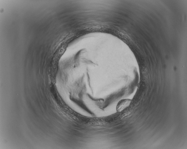 X0000067910642200605111944