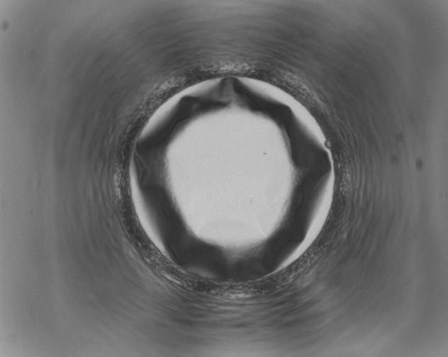 X0000067910643200605111944