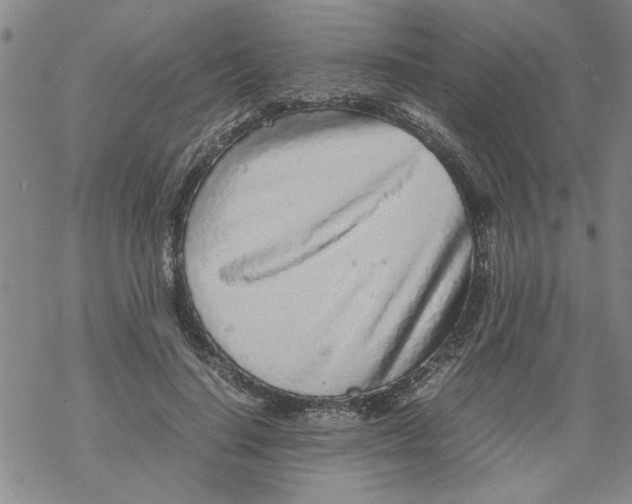 X0000067910644200605111944