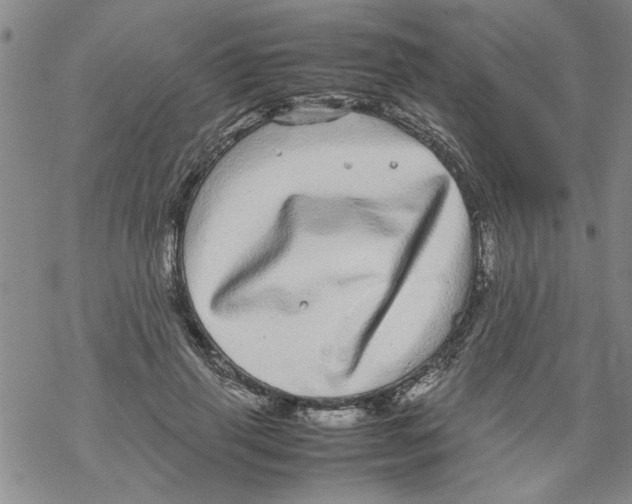 X0000067910645200605111944