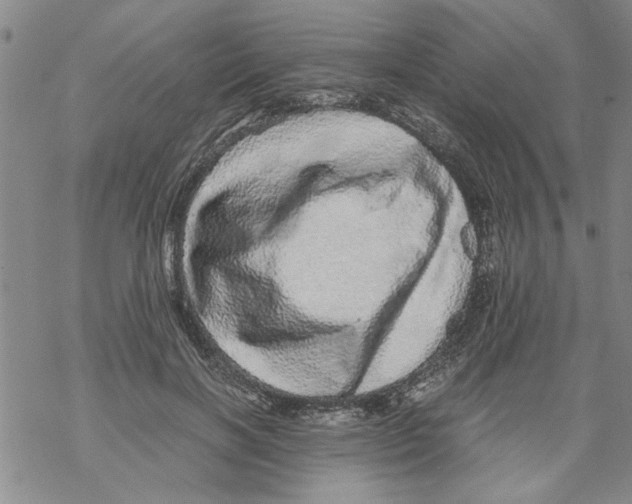 X0000067910646200605111944