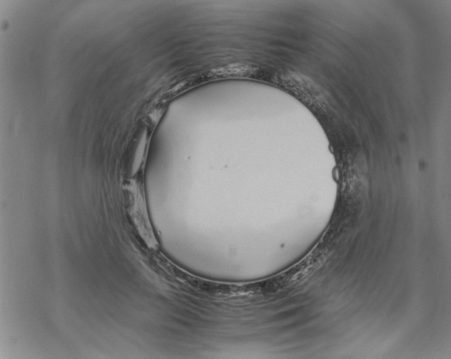 X0000067910647200605111944