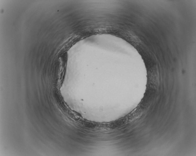 X0000067910648200605111944