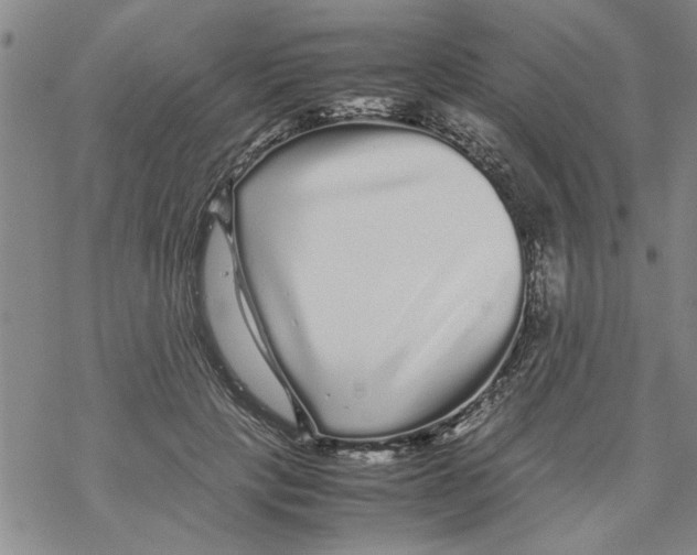 X0000067910649200605111944