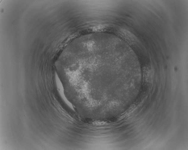 X0000067910650200605111944