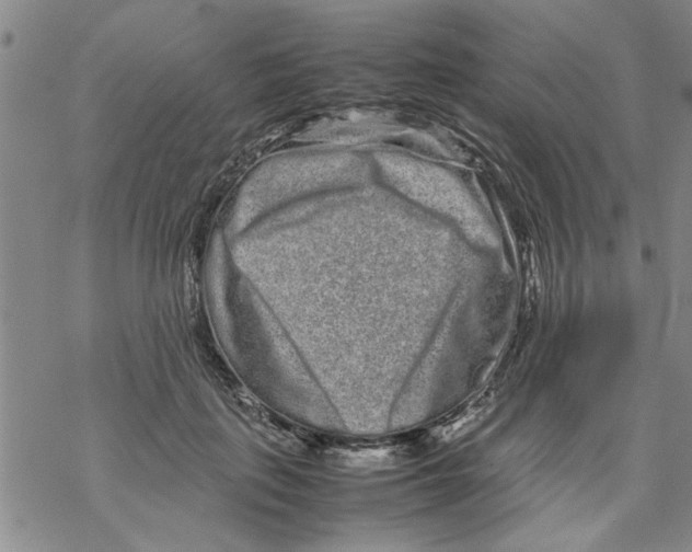 X0000067910651200605111944