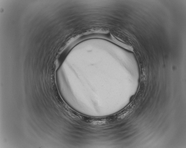 X0000067910653200605111944