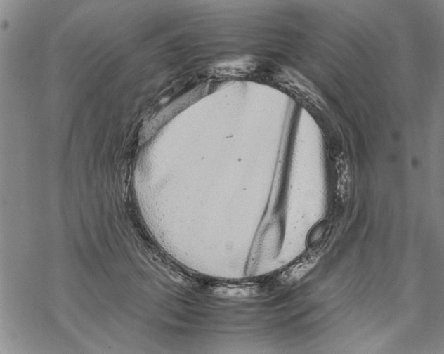 X0000067910655200605111944