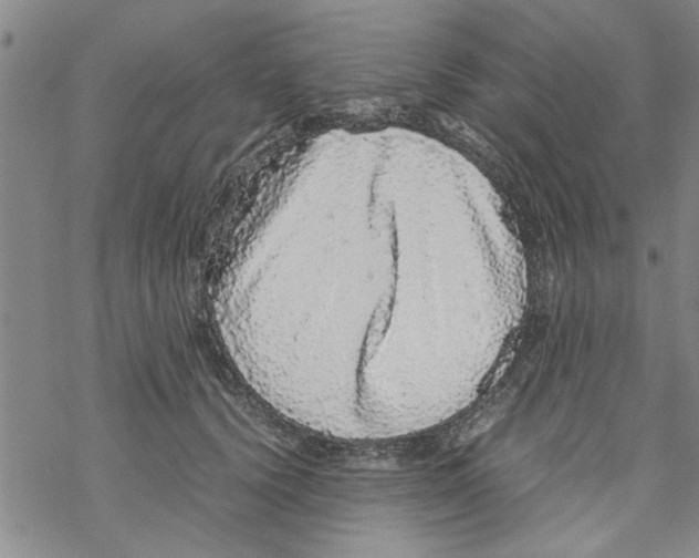 X0000067910656200605111944