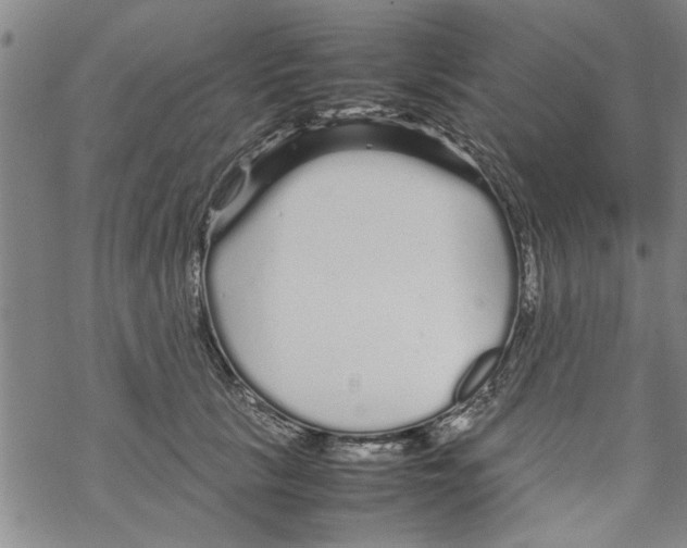 X0000067910657200605111944