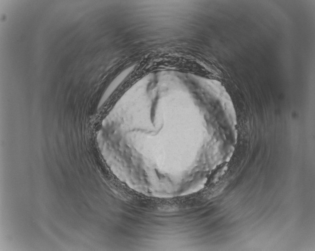 X0000067910658200605111944