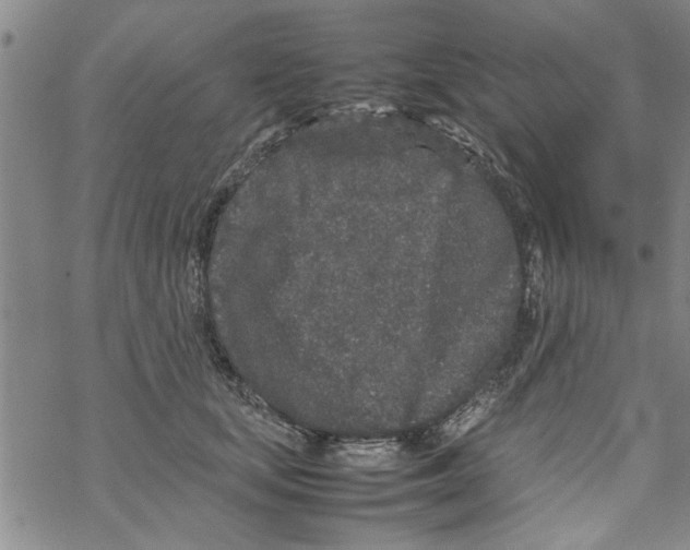 X0000067910659200605111944