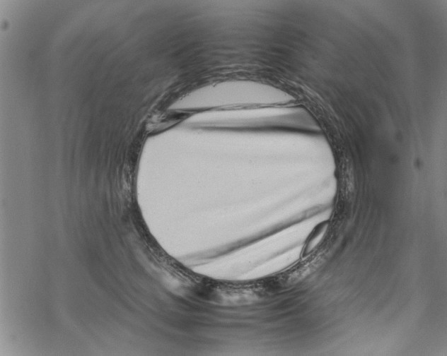 X0000067910661200605111944