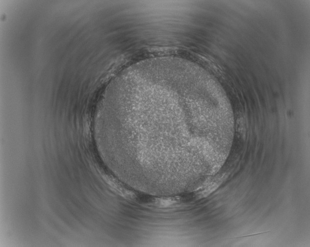 X0000067910662200605111944