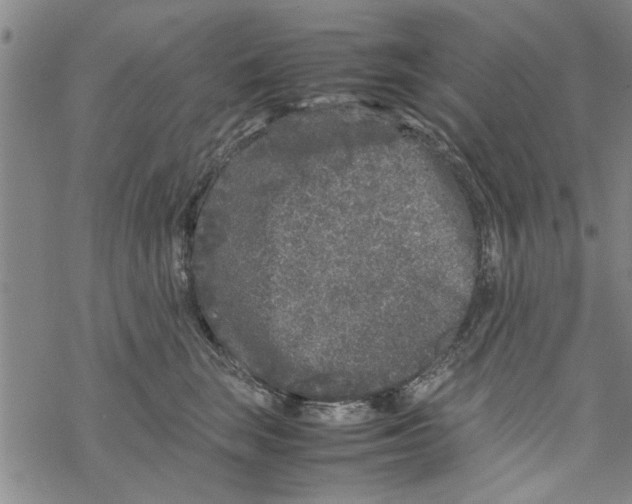 X0000067910663200605111944