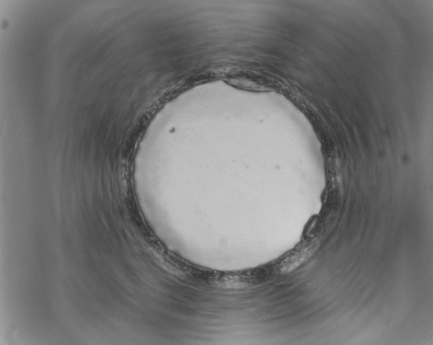 X0000067910664200605111944