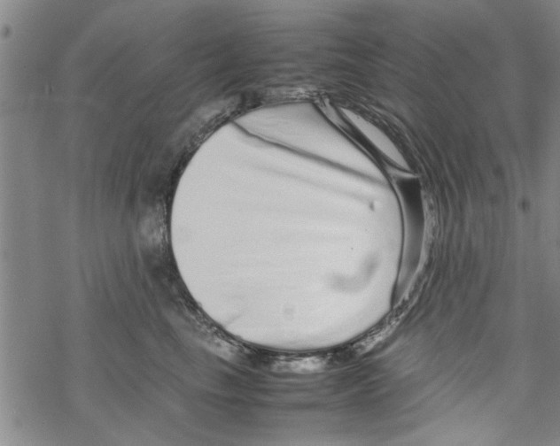 X0000067910665200605111944