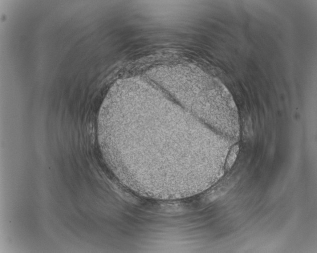 X0000067910666200605111944