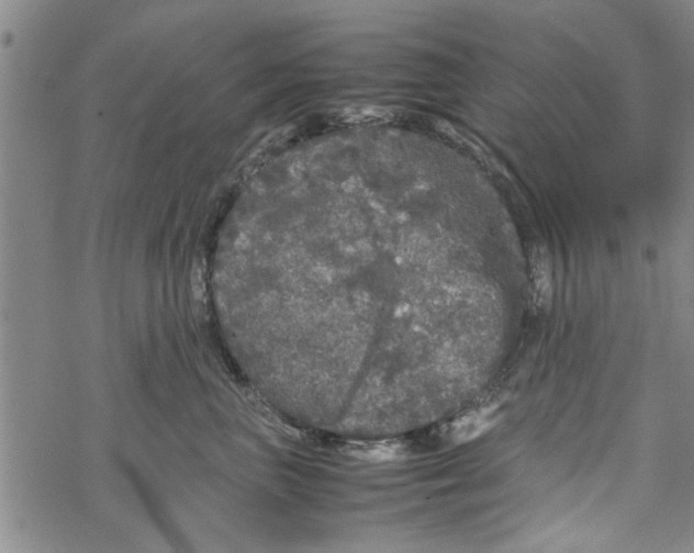 X0000067910667200605111944