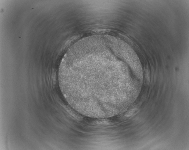 X0000067910668200605111944