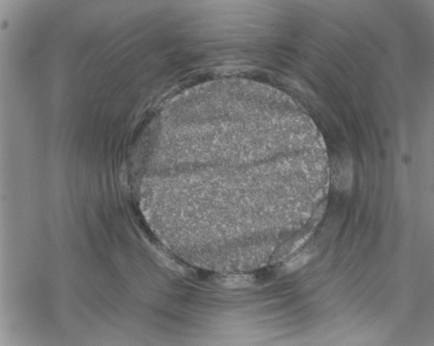 X0000067910670200605111944