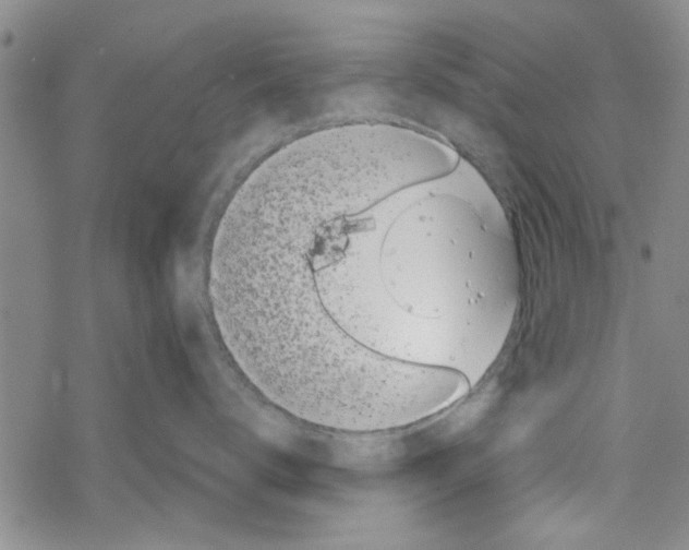 X0000067910672200605111944