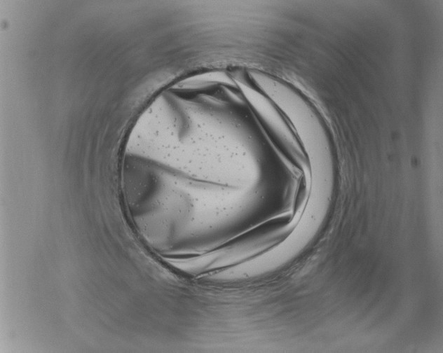 X0000067910673200605111943