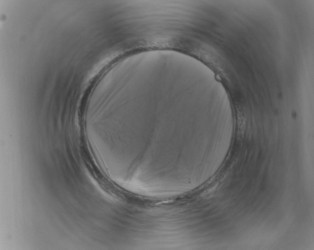 X0000067910674200605111943