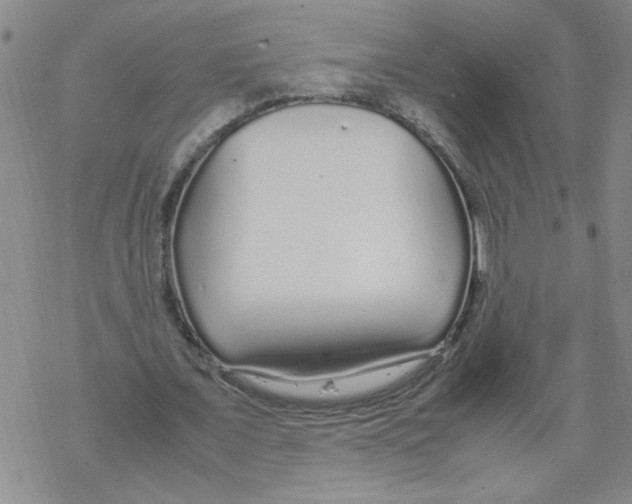 X0000067910675200605111943