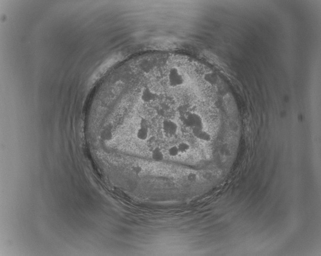 X0000067910679200605111943