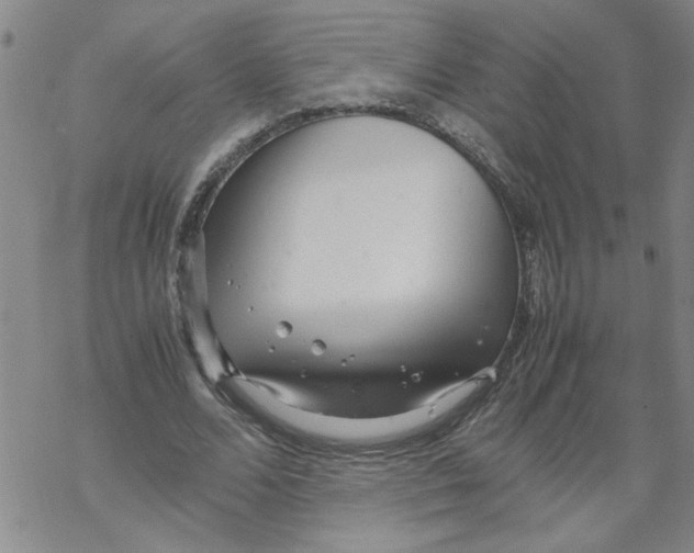 X0000067910680200605111943