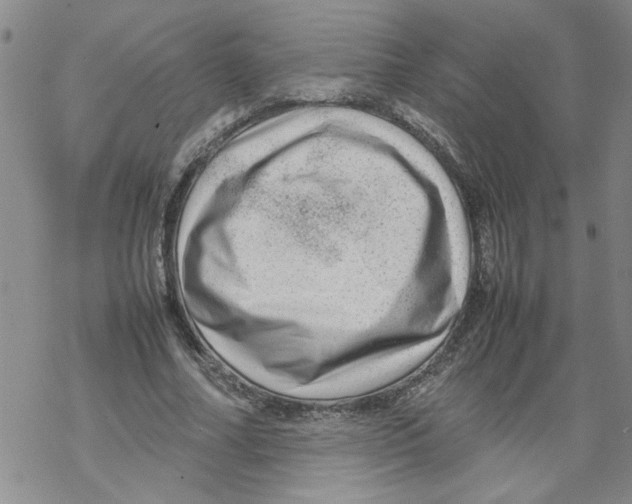 X0000067910682200605111943