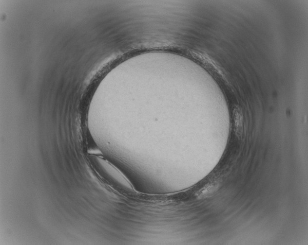 X0000067910684200605111943