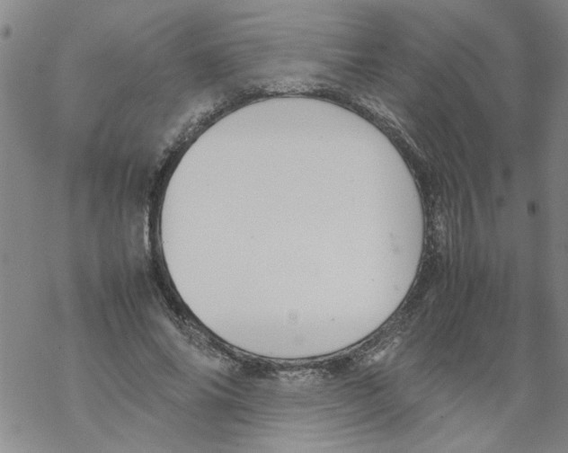 X0000067910686200605111943