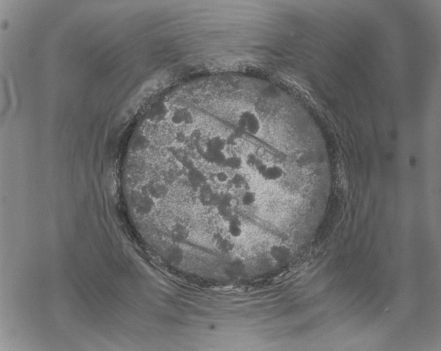 X0000067910687200605111943