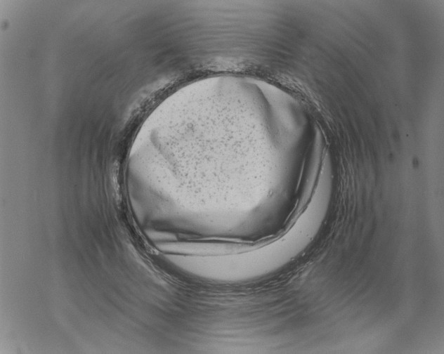 X0000067910688200605111943