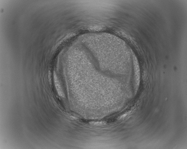 X0000067910689200605111943