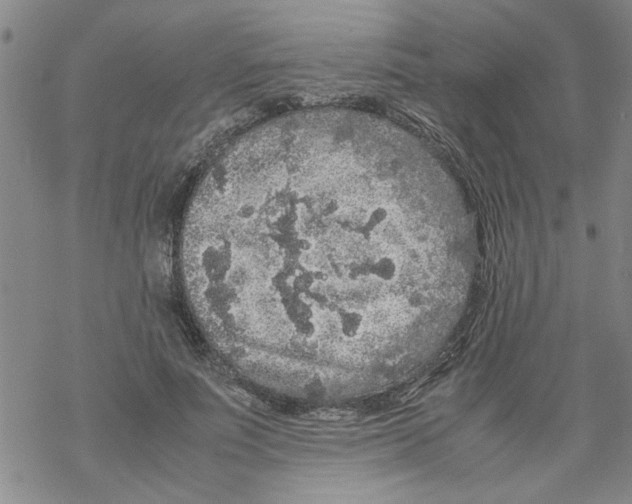 X0000067910691200605111943