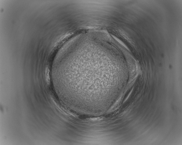 X0000067910692200605111943